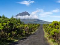Straße durch Wacholderbüsche und Pico mit Wolkenkranz - Pico